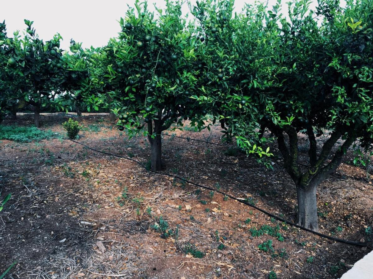 B&B Zagara Marsala Luaran gambar
